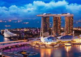 赏金国际vip登录入口最新版